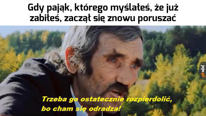 Jeszcze żyjesz?!