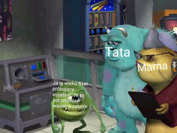 To wszystko wina kota!