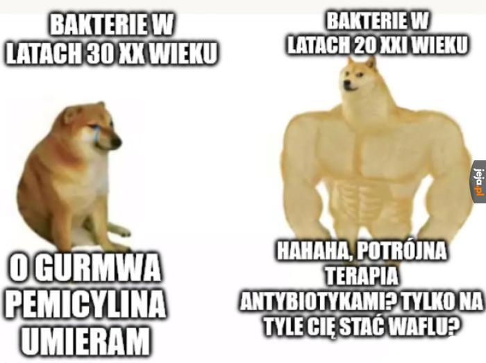 Bakterie