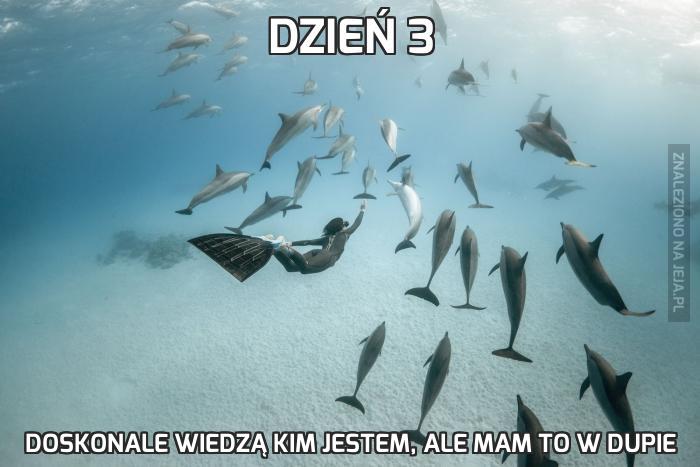 Dzień 3