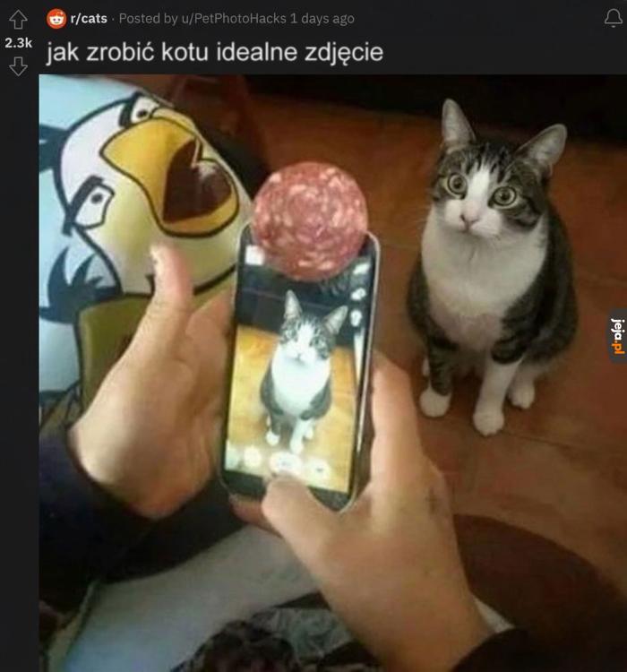 Na pieski też działa