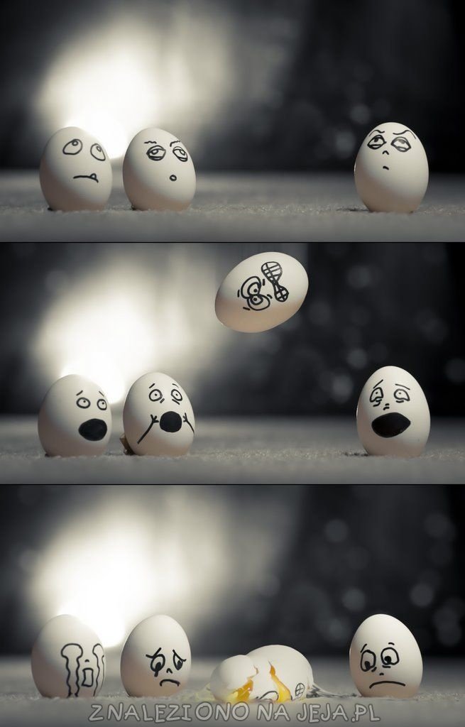 Krótka historia jajka