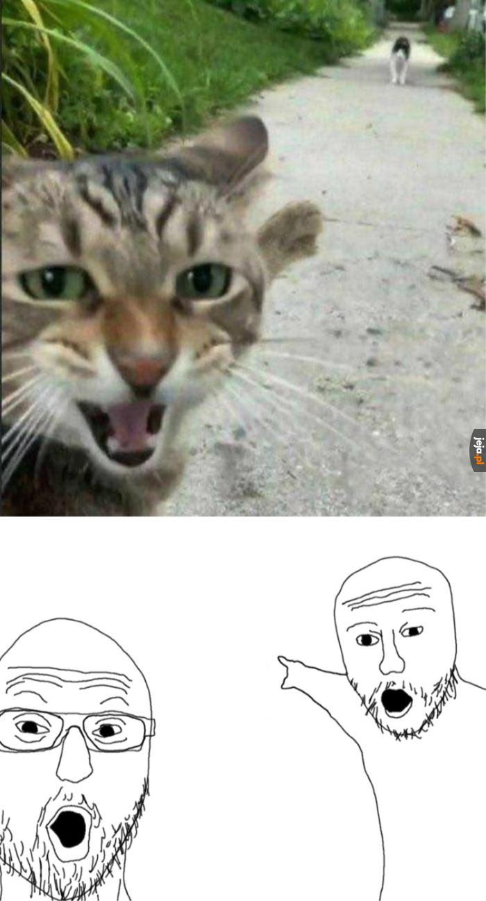 Najlepszy mem na stronie jeja.pl