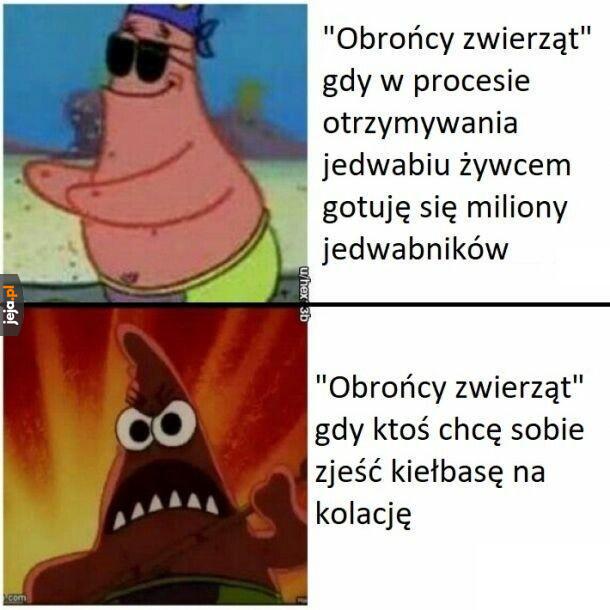 Obrońcy zwierząt