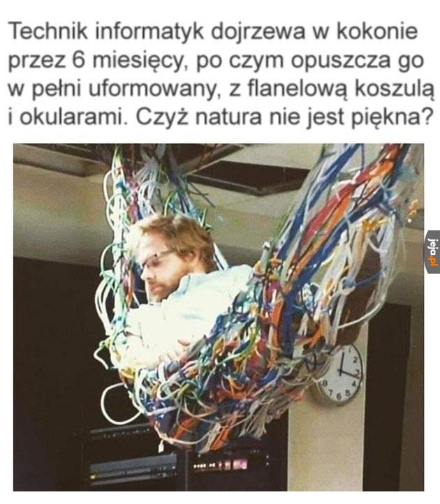 Natura wymiata