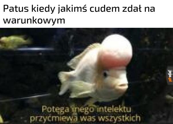 Einstein
