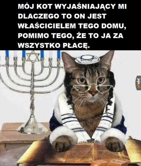 Tego właśnie chce stwórca