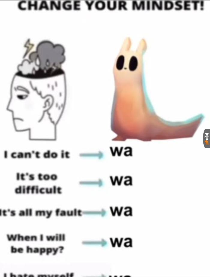 Daily wa