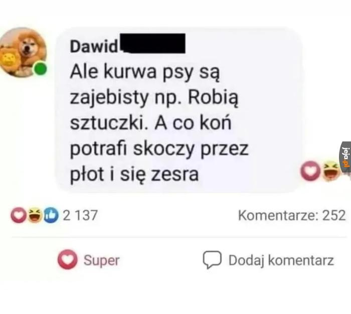 Antykońska propaganda
