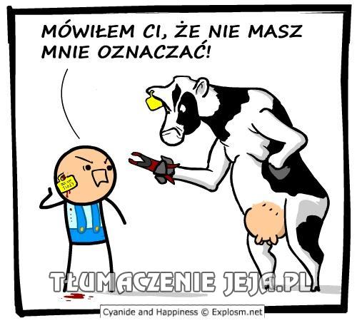Jeśli tylko krowy pojawią się na Facebooku...