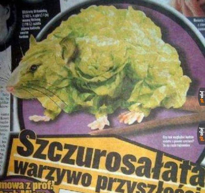 Strzeż się