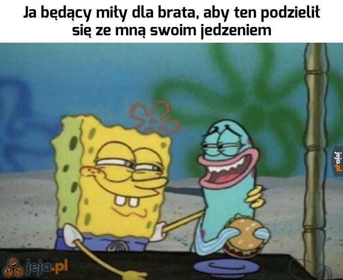 No daj gryza