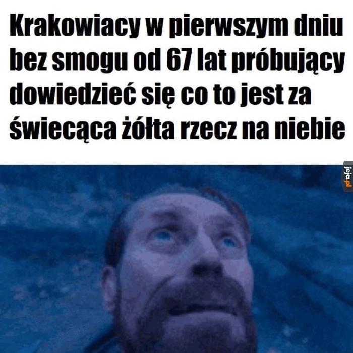 Kryć się