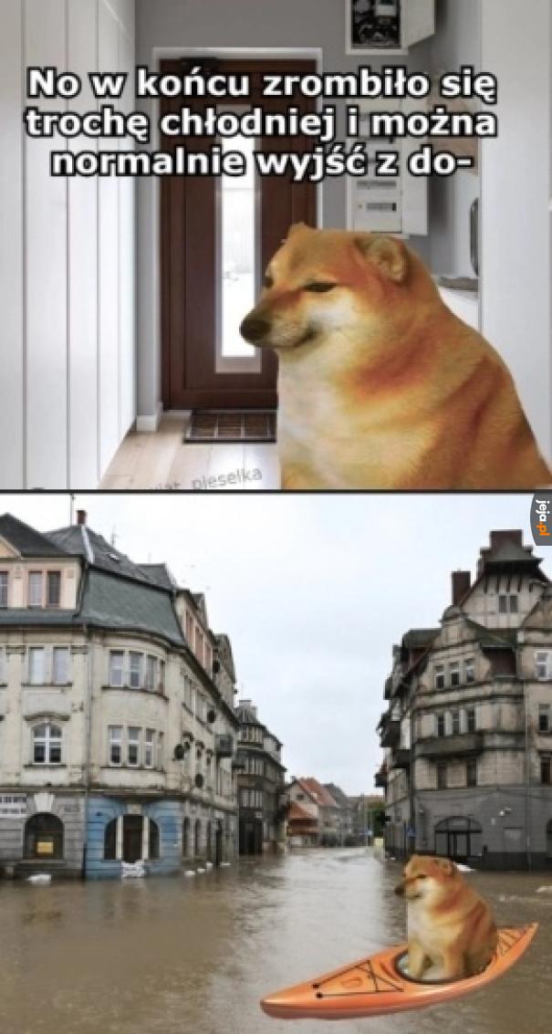 Wiosłuj łódką