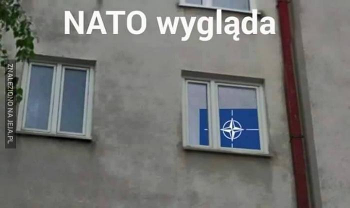 NATO Wygląda