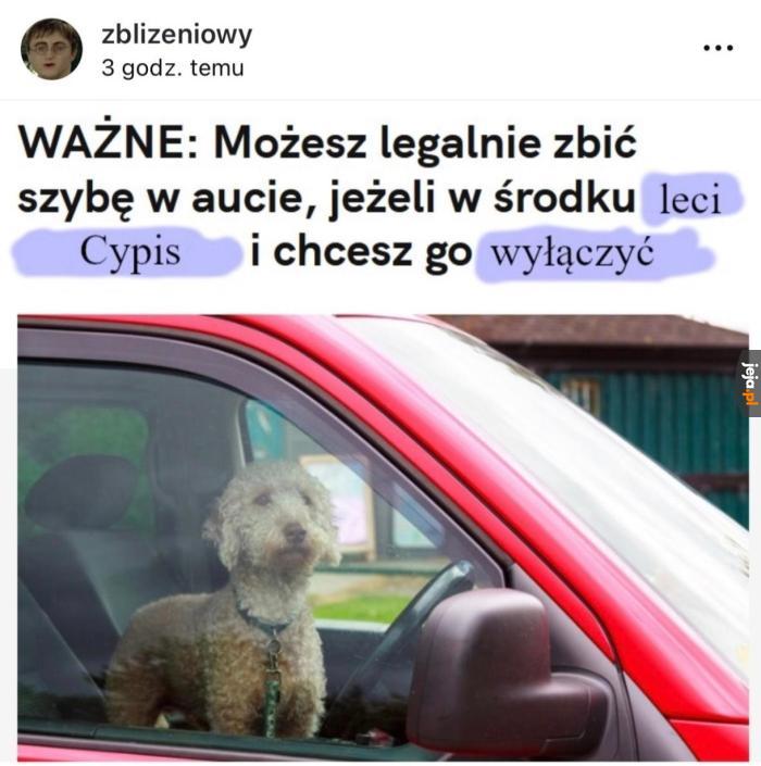 Który mamy dzień tygodnia?