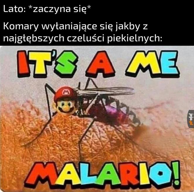 Bążu®