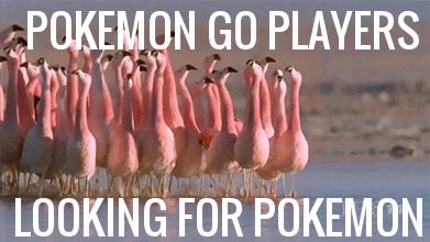 Gracze Pokemon GO