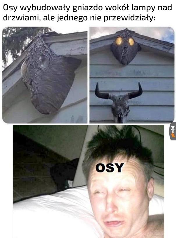 Ale trzeba przyznać, że gniazdo wygląda kozacko