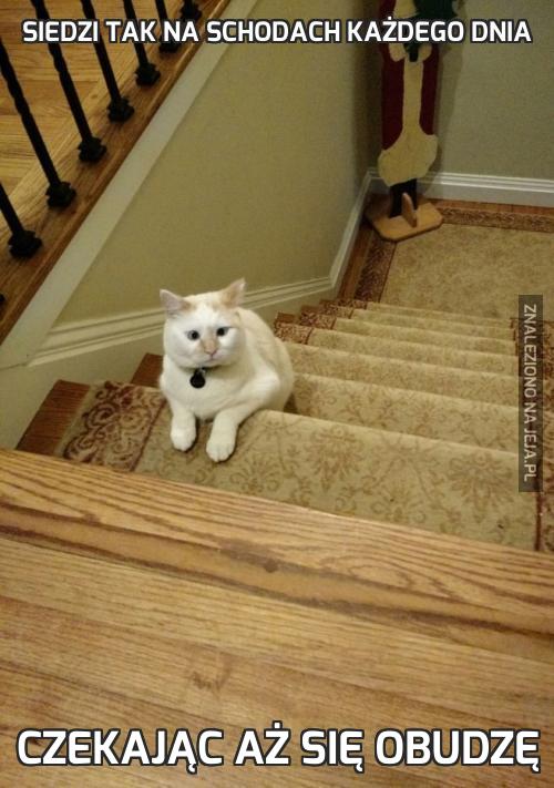 Siedzi tak na schodach każdego dnia