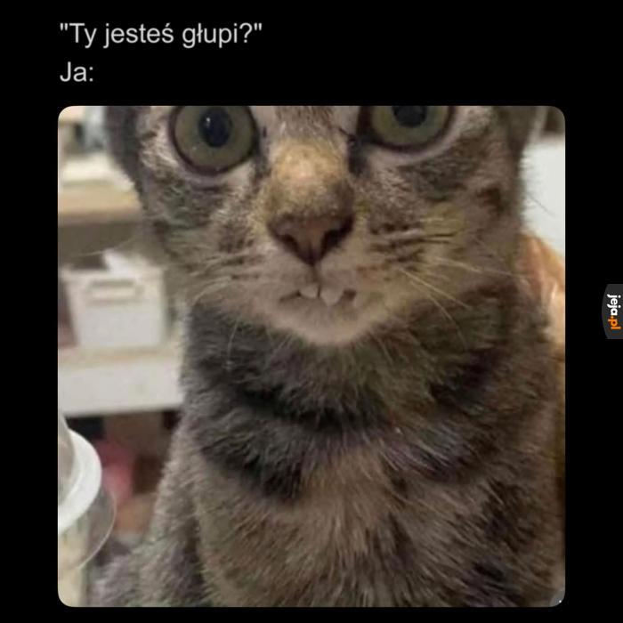 No może trochę