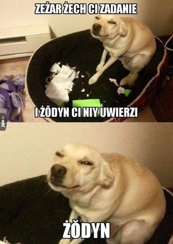 Praca domowa