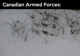 Kanadyjskie siły zbrojne