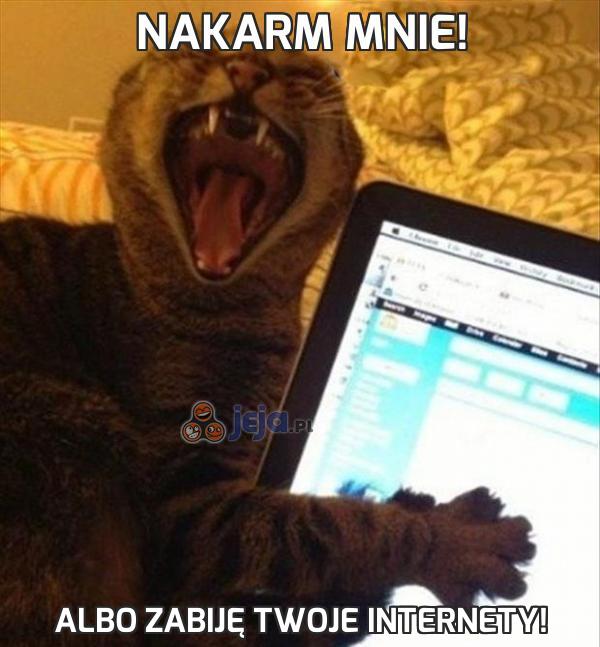 Nakarm mnie!