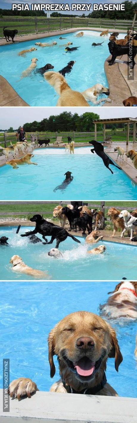 Psia imprezka przy basenie