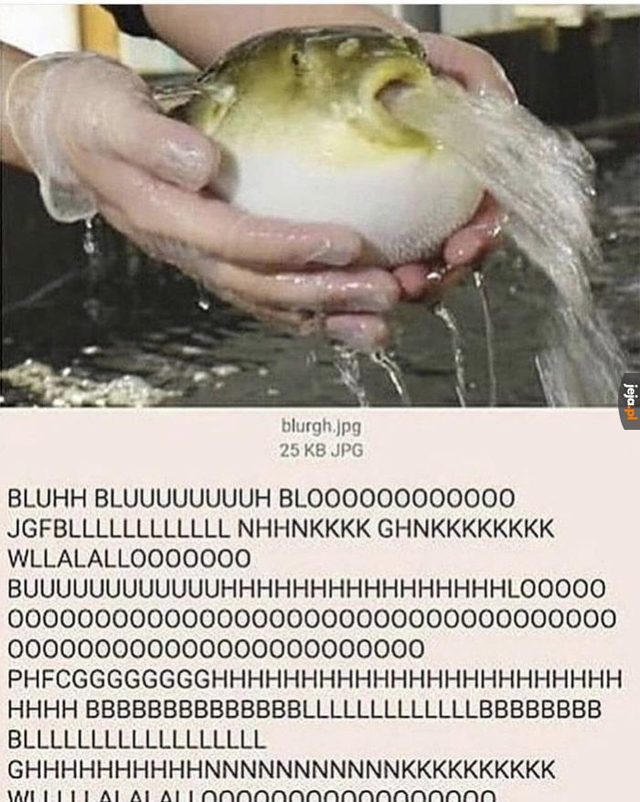Dziękuję