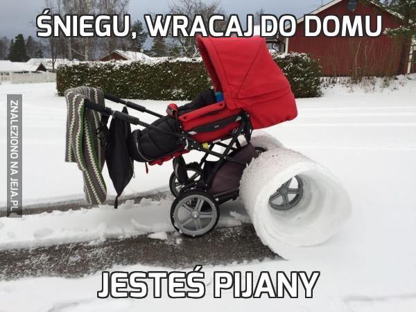 Śniegu, wracaj do domu