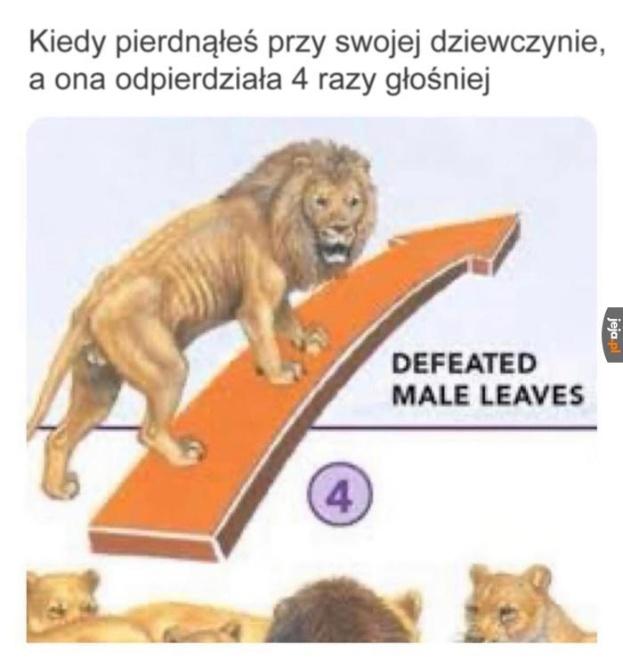 Wszedł na ring i dostał w ryj