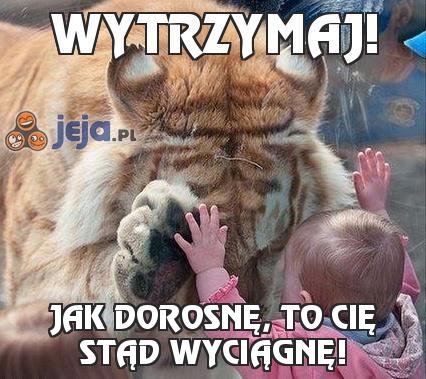 Wytrzymaj!