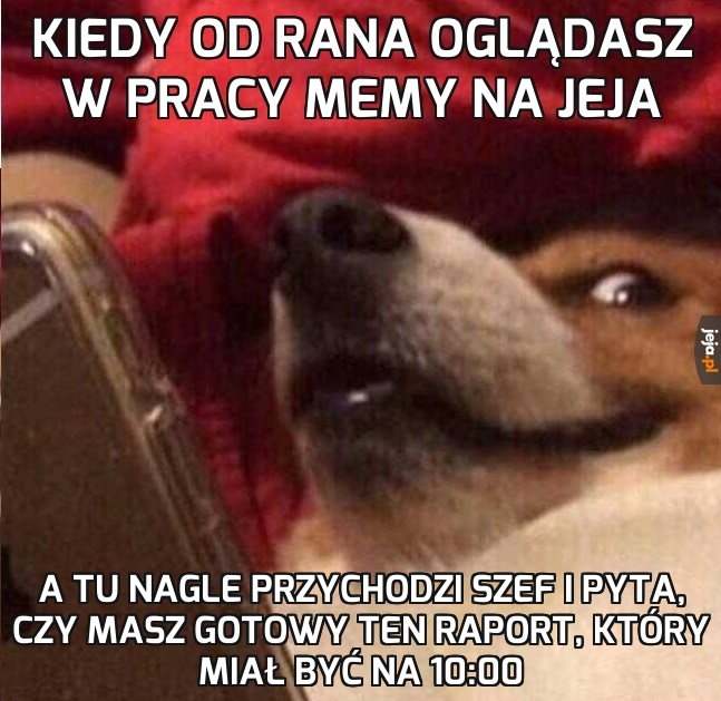 Raportu nie ma, ale patrz pan na tego mema!