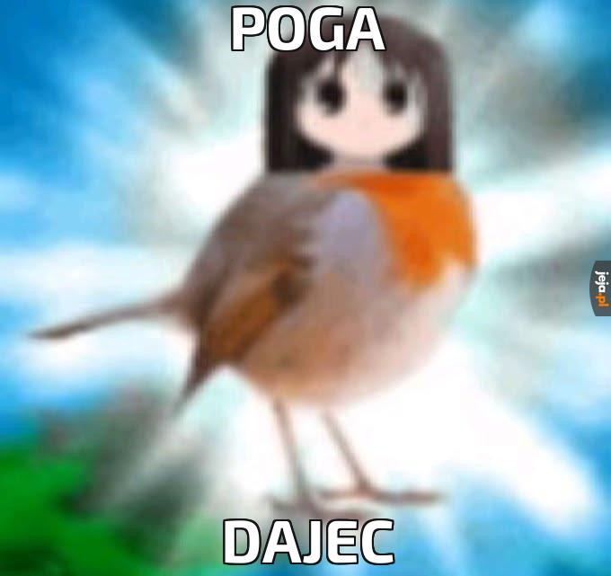 Poga