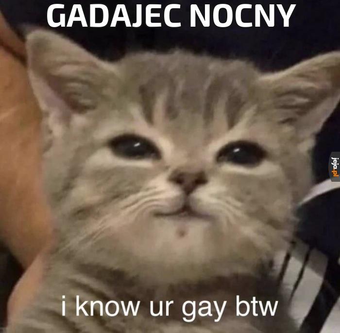 Gadajec nocny
