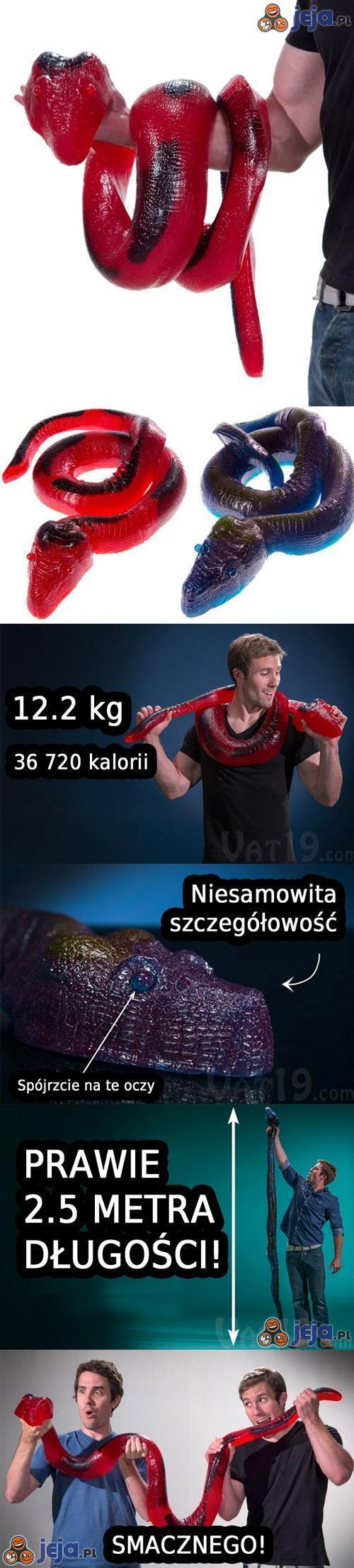 Wężowa żelka