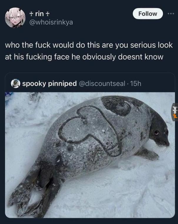 Biedna foka