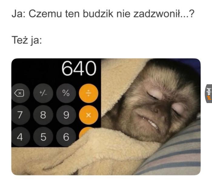 No przecież dobrze