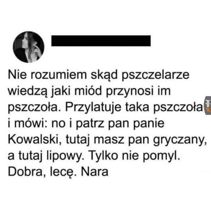 To wymaga wyższych studiów pszczelarskich