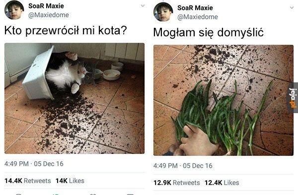Mamy winowajcę