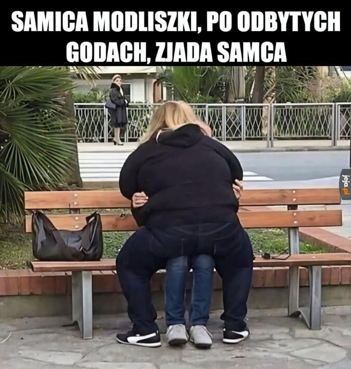 National Geographic w praktyce