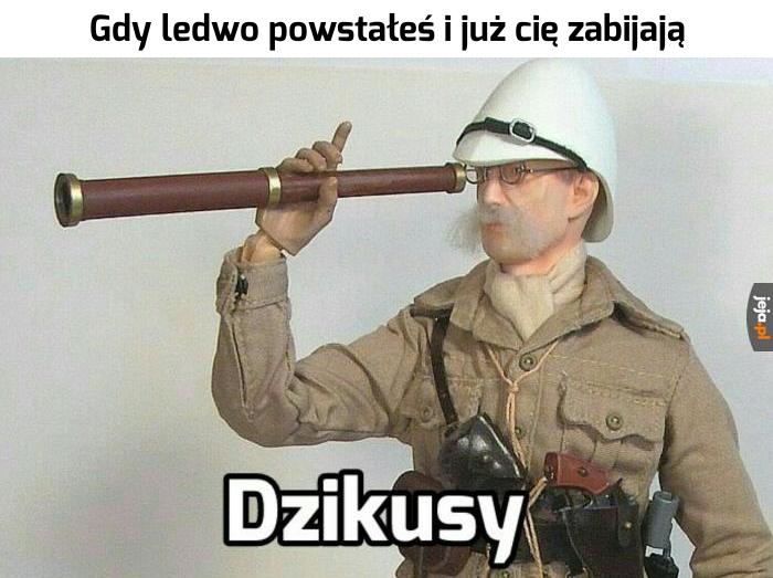 No cóż, taki mój los