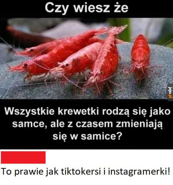 Przyroda