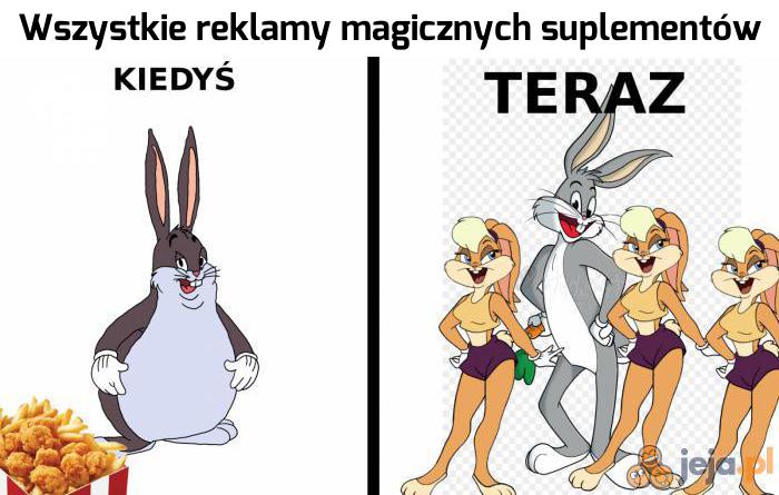 Bugs Najlepsze Memy Zdjecia Gify I Obrazki Kwejk Pl