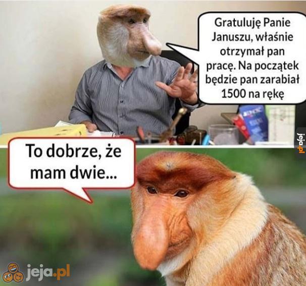 Dogadamy się