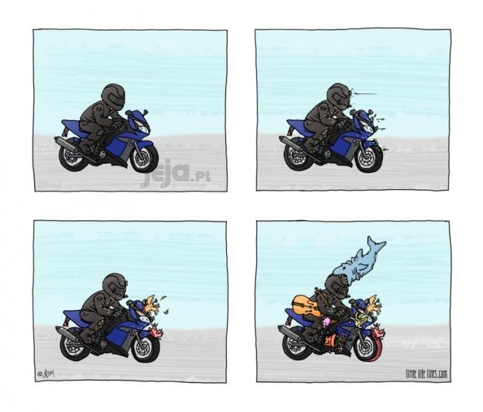 Standardowa wycieczka motocyklisty