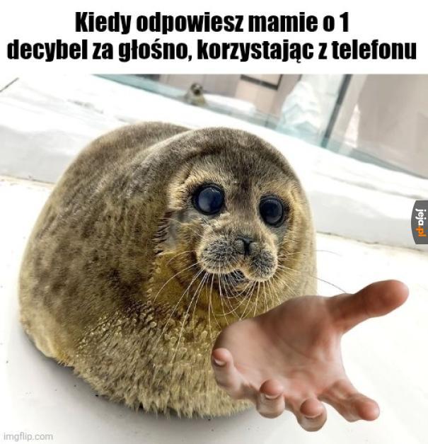 Szlaban na telefon, kąkuter i konsolę