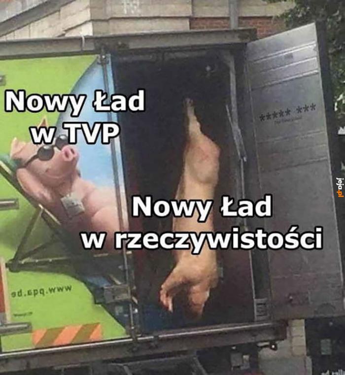 Nowy Polski Ład - Jeja.pl