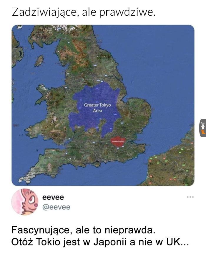 Niesamowite